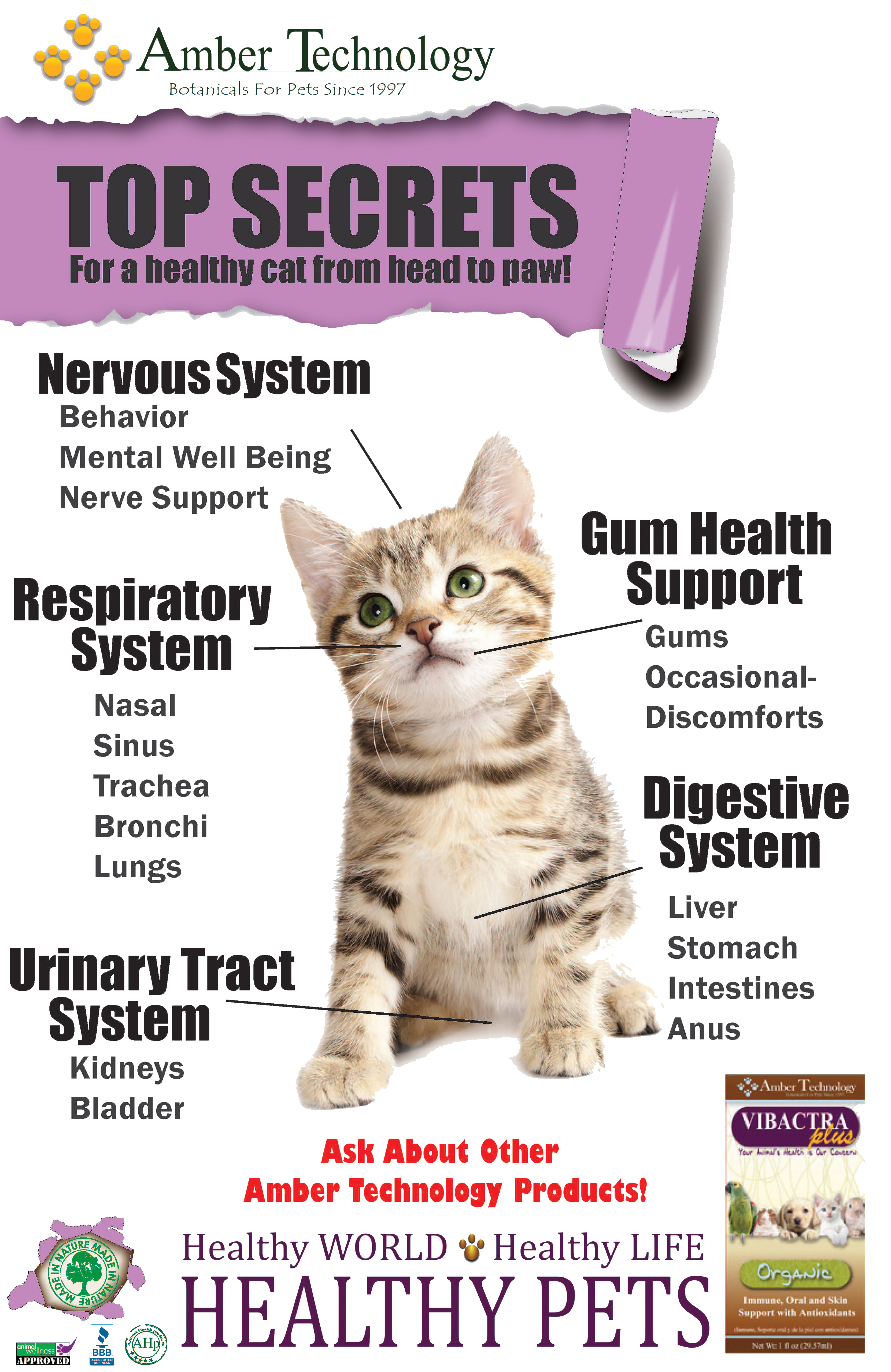 Natural Canine Health Care Kits are an excellent value.  The Canine Health Care Kit contains:  Kitty-DT (aka Kitty Distempaid), Vibactra Plus, Life Cell Support, Vintesta (aka Pet's Cough & Cold Formula), Kidney Rejuvenator, UTR (aka Urinary Tract Relief), a syringe, bandaids, and a leash.  ORDER YOUR PET HEALTH CARE KIT NOW