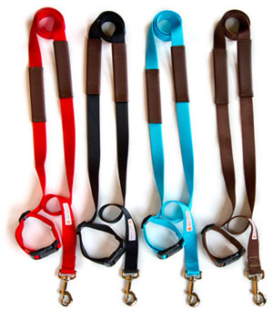 Get A Grip Leash+#0153;, the world's most comfortable and secure dog leash
