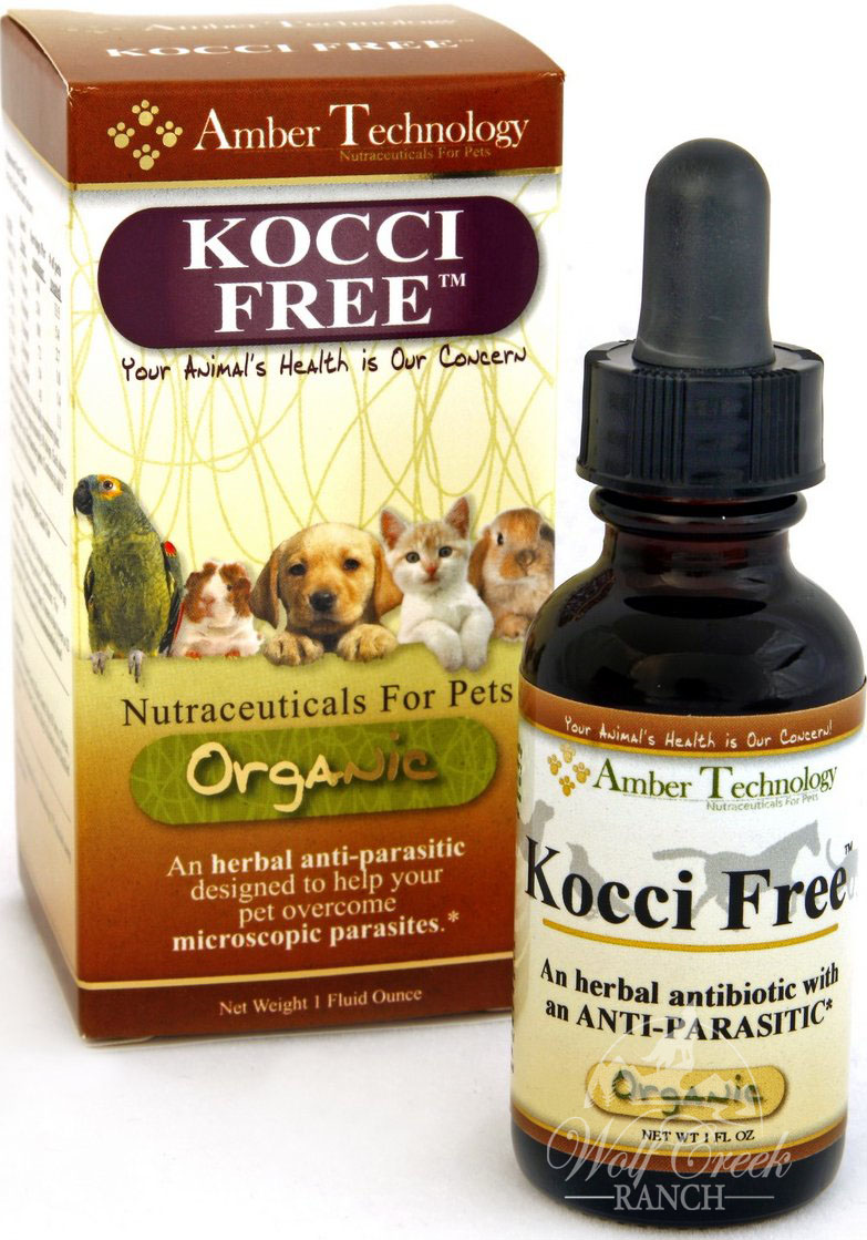 Over The Counter Treatment For Coccidia In Dogs