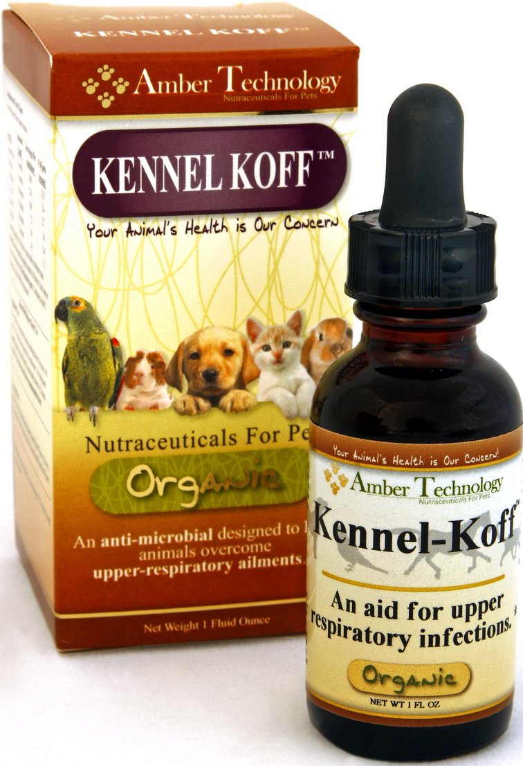 medicines for kennel cough