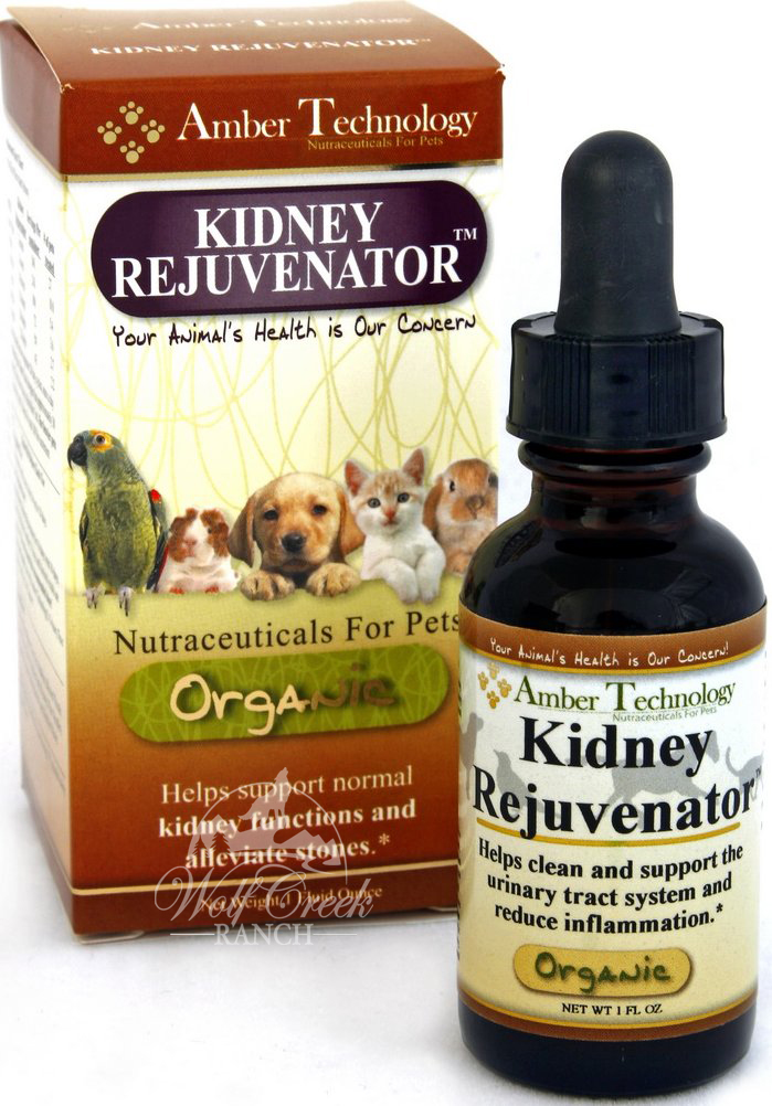 Organic Kidney Diet For Dogs