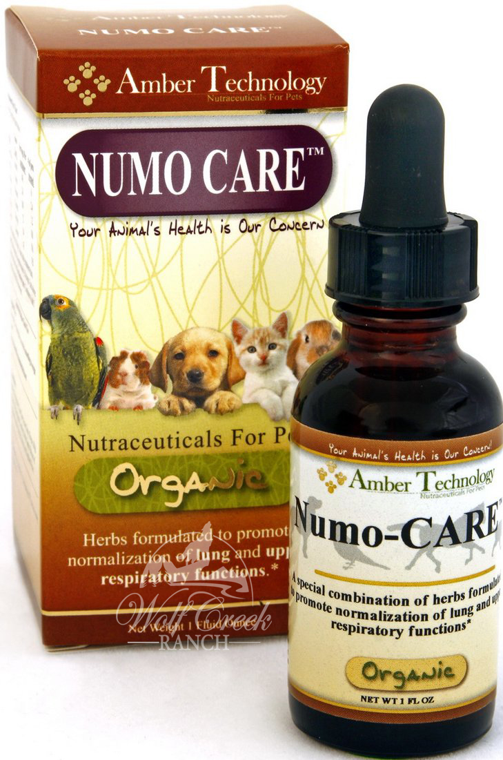 Numo Care is an organic natural respiratory formula for pets.  Buy Numo Care for your pet's bronchial or pneumonia infection.