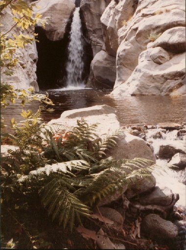 Tacquitz Falls