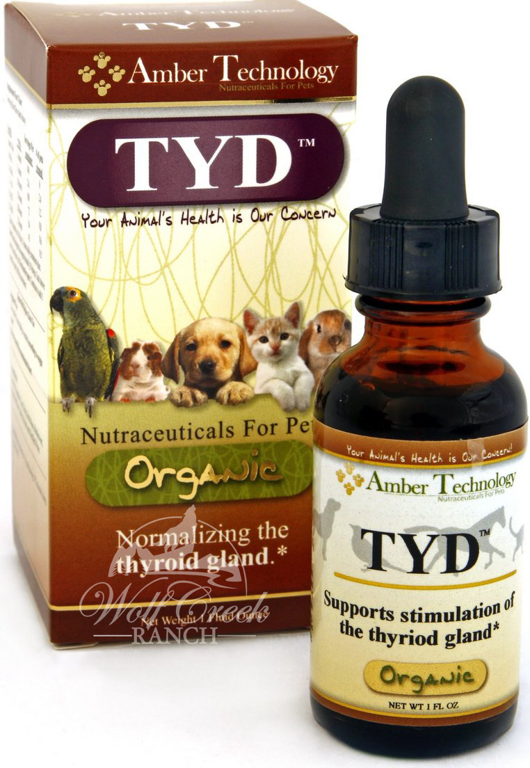 TYD is a natural organic thyroid supplement that is helpful for hypothyroid and hyperthyroid conditions.  Buy it today for a healthier thyroid.