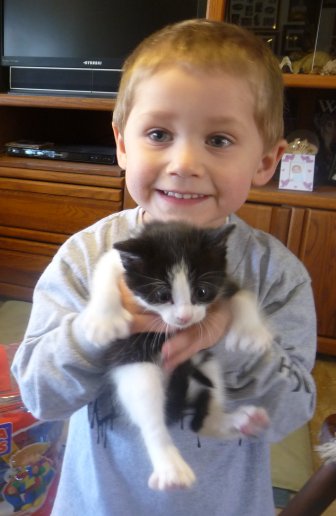 Zacky holding 22 toed male tuxedo kitten