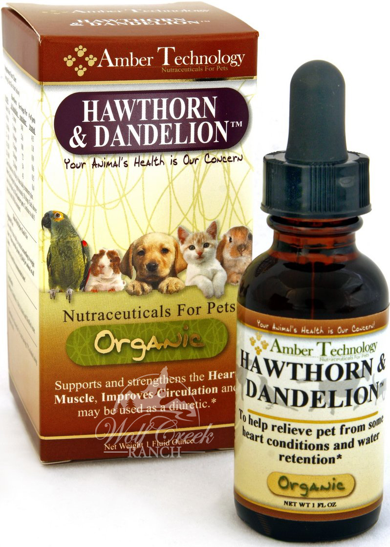 Hawthorn & Dandelion remedy naturally helps support and strengthen your pet's heart.