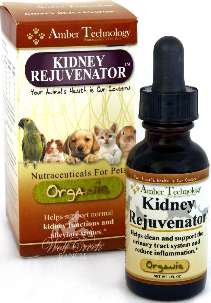 Kidney Rejuvenator is an excellent effective herbal remedy to cleanse the kidneys and prevent urinary tract infections.  Buy Kidney Rejuvenator for your pet or animal's health today!