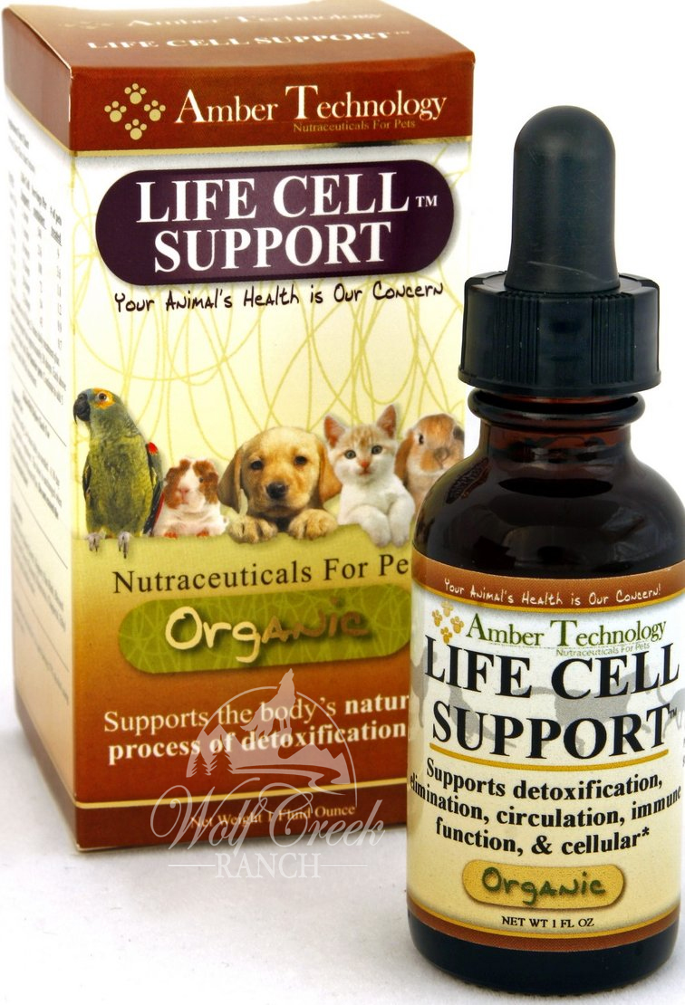 Life Cell Support is excellent to purify and detox your pet's blood, liver, and lymphatic system.  Buy Life Cell Support today for a healthier pet!