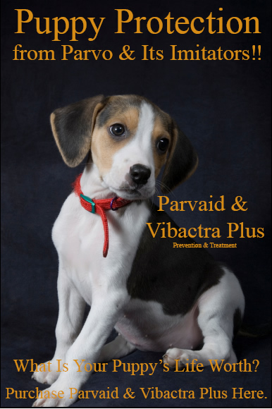 Parvaid and Vibactra Plus are natural organic effective parvo treatment and prevention products.  Buy these excellent parvo treatment remedies today!