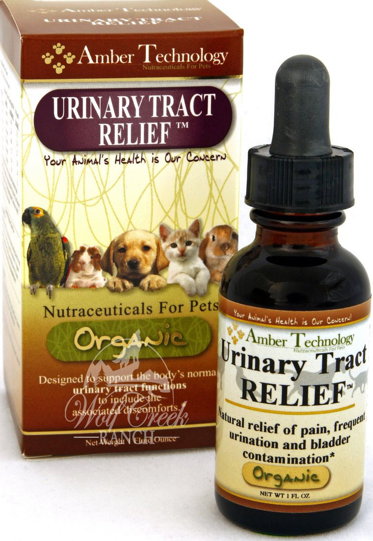 UTR is an excellent effective natural organic remedy for urinary tract infections in people, pets, and animals.  Buy UTR today to rid yourself, your pet, or animal of a urinary tract infection!