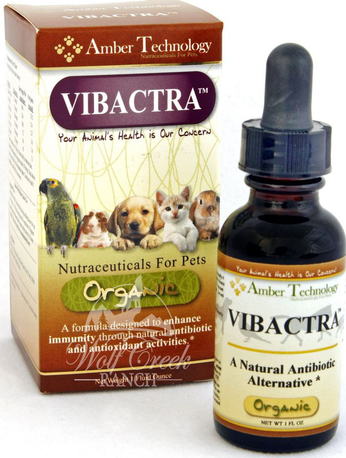 Vibactra is an excellent organic herbal antibiotic that eliminates viruses, bacteria, and fungus in people, pets, and animals!  Buy Vibactra today!