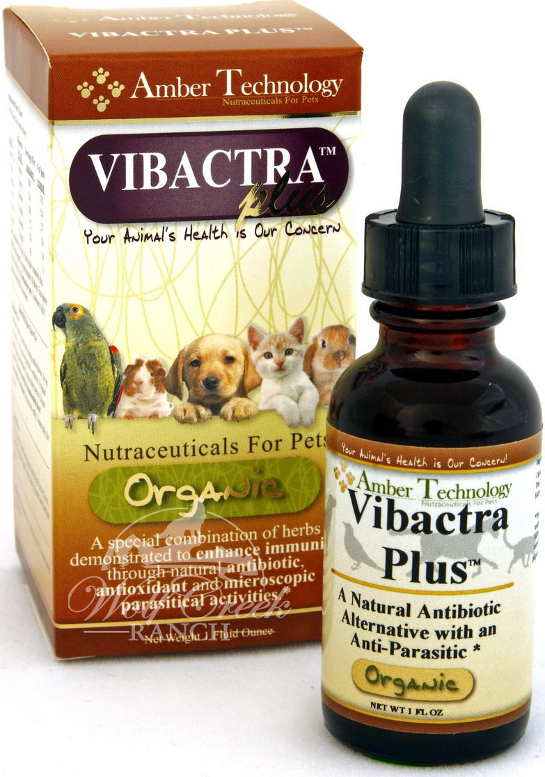 Vibactra Plus is an excellent organic herbal antibiotic that eliminates viruses, bacteria, and fungus in people, pets, and animals!  Buy Vibactra Plus today!